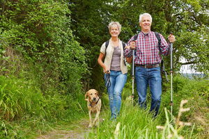 Erreichen Sie Ihre Gesundheitsziele und leben Sie gesund und erfolgreich Ein Mann und eine Frau wandern mit einem Hund und Wanderstöcken an einem Waldrand. Sie sehen gesund und glücklich aus. Ich unterstütze Sie dabei, Ihre Gesundheitsziele zu erreichen.