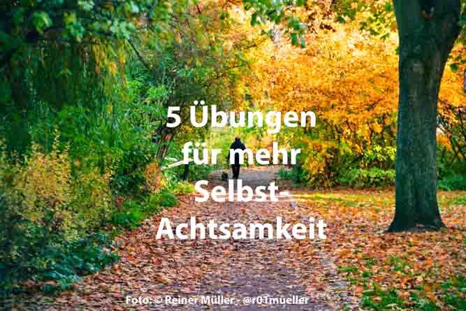 Selbstachtsamkeit - Fünf Übungen für Selbstachtsamkeit - Eine Person geht mit einem Hund einen herbstlichen Weg entlang - Foto: (c) Reiner Müller - @r01mueller - Angsttherapie